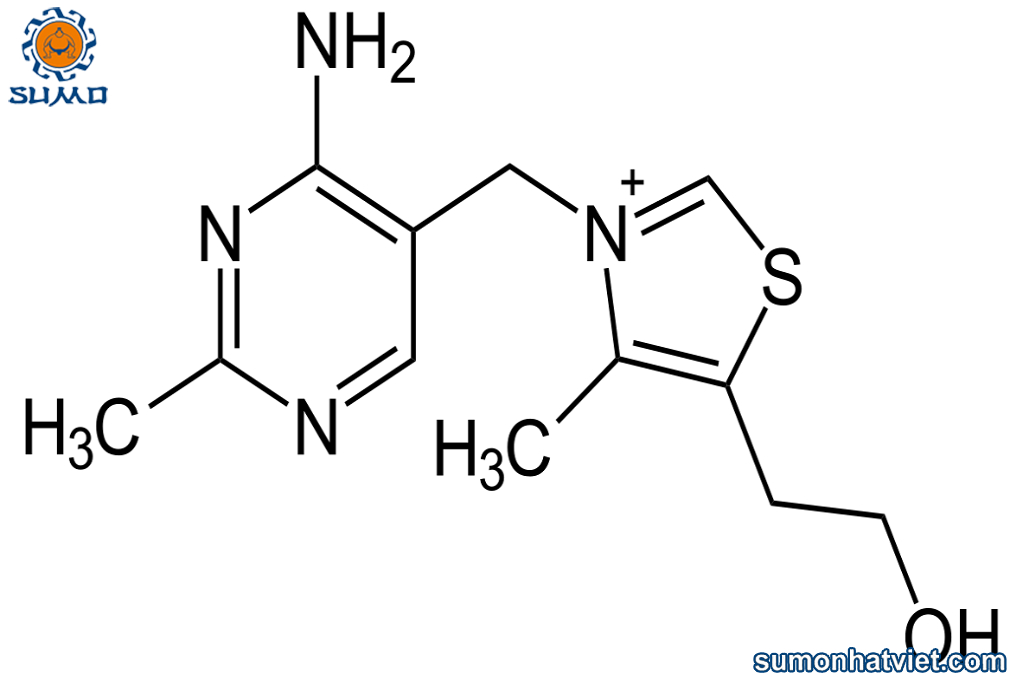 Cấu trúc hóa học của vitamin B1