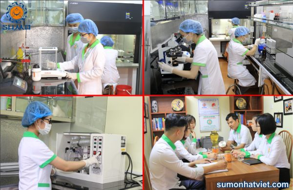 Tầm nhìn phát triển mô hình trồng nấm trong những năm tới của Sumo Nhật Việt.