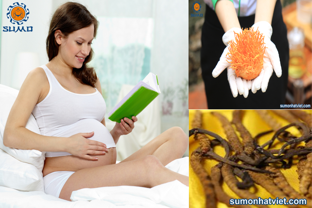 Phụ nữ mang thai có thể sử dụng đông trùng hạ thảo không
