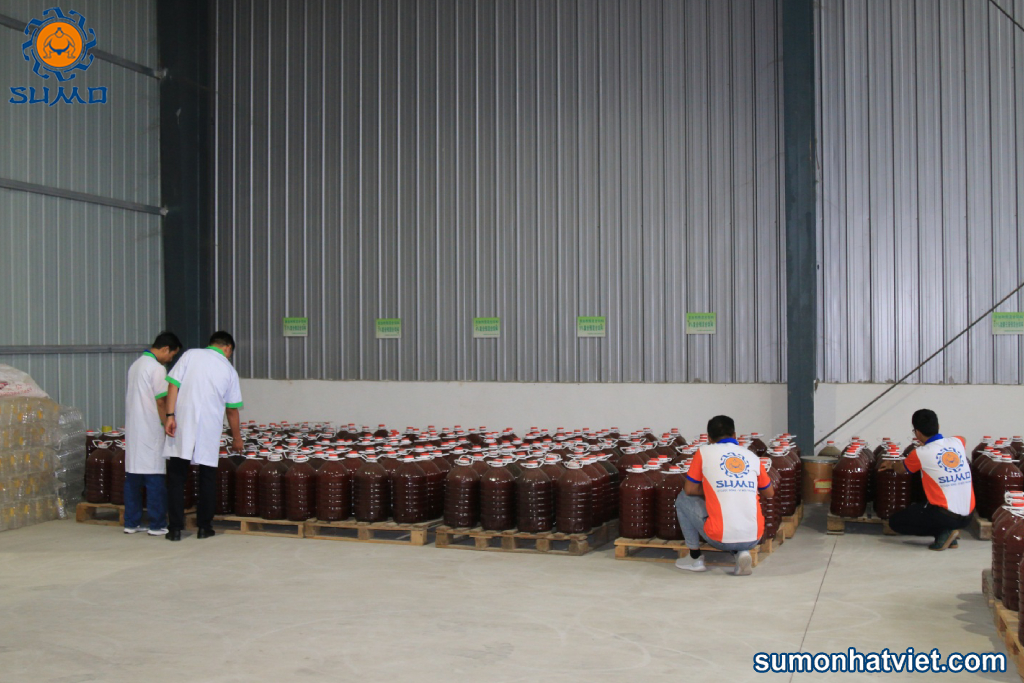 Thử nghiệm sản xuất chế phẩm ủ phân cá quy mô công nghiệp