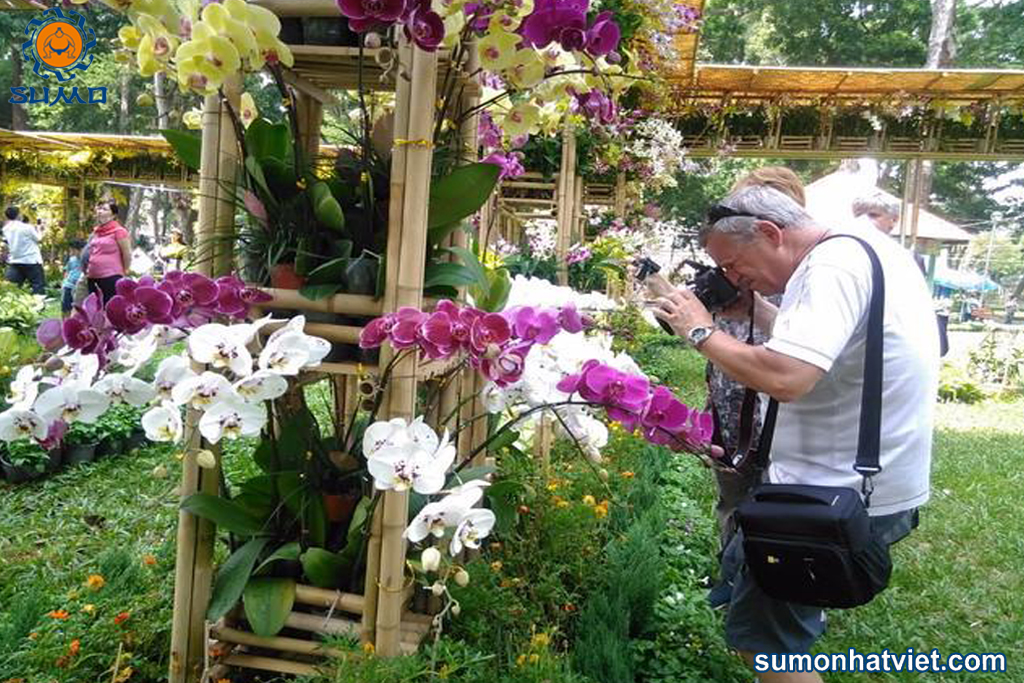 Nhiều du khách nước ngoài quan tâm đến các sự kiện hoa Lan tại Việt Nam