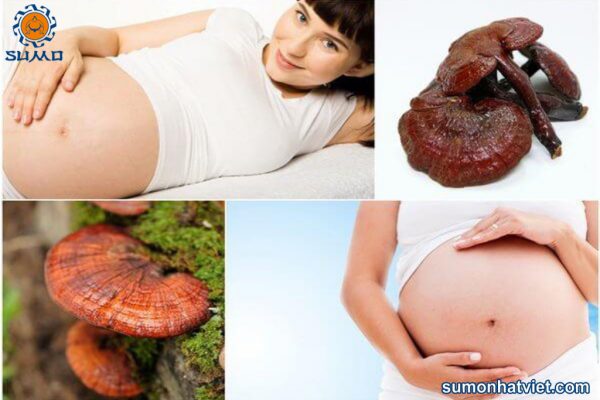 Có bầu uống nấm linh chi được không?