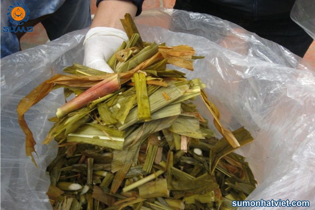 Tác dụng của mật rỉ đường Sumo sử dụng trong chăn nuôi gia súc, gia cầm