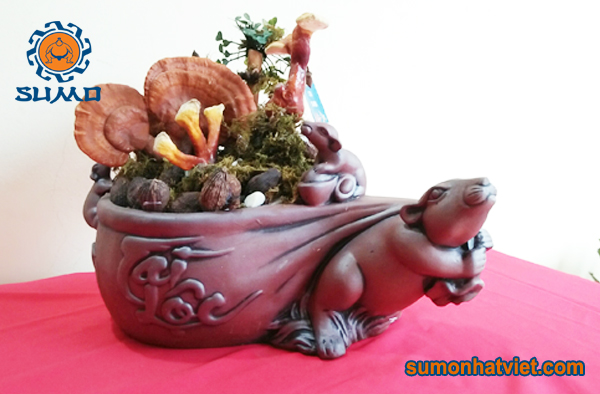 Bonsai Linh Chi tài lộc Sumo