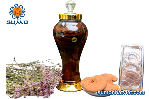 rượu nấm linh chi sumo