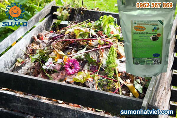 Xử lý rác thải hữu cơ bằng phương pháp ủ