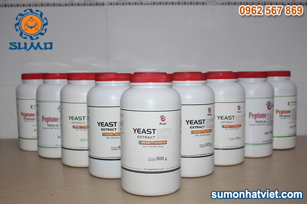 Yeast extract powder