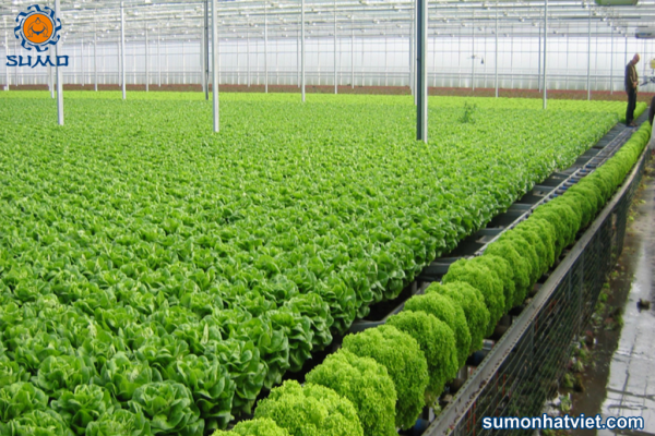 Sản xuất phân bón hữu cơ từ những nguồn nguyên liệu nào?