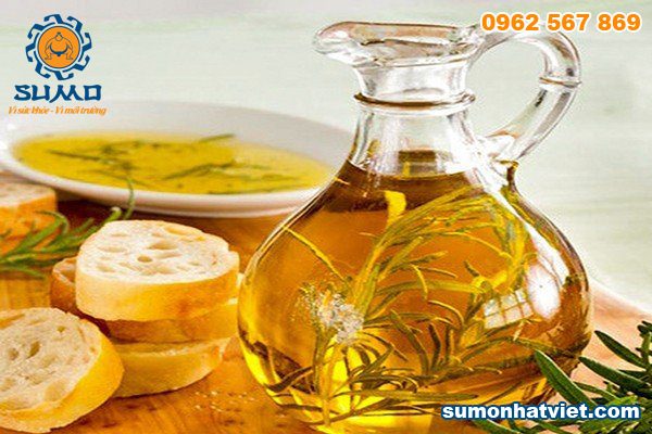 Tinh dầu hương thảo – Tác dụng và cách sử dụng