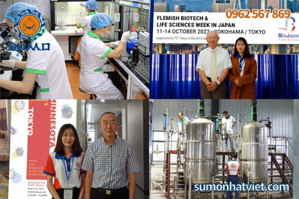 TỔNG HỢP HOẠT ĐỘNG KHOA HỌC CÔNG NGHỆ