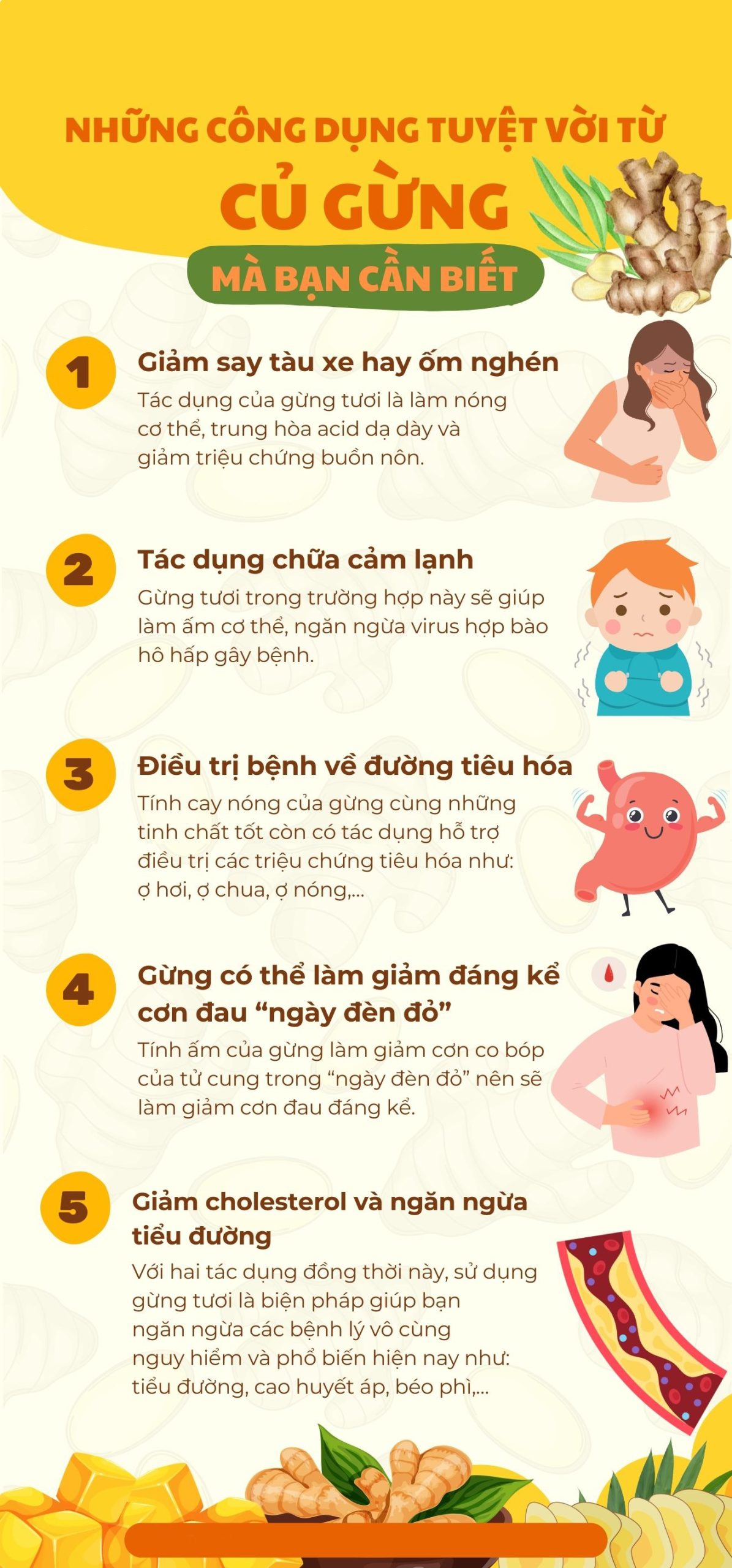 công dụng của gừng đối với sức khỏe