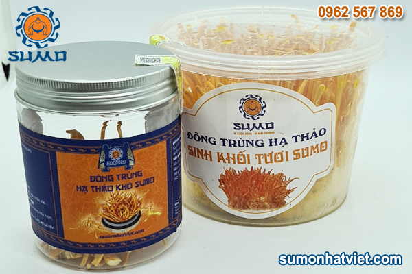 Đông trùng hạ thảo SUMO