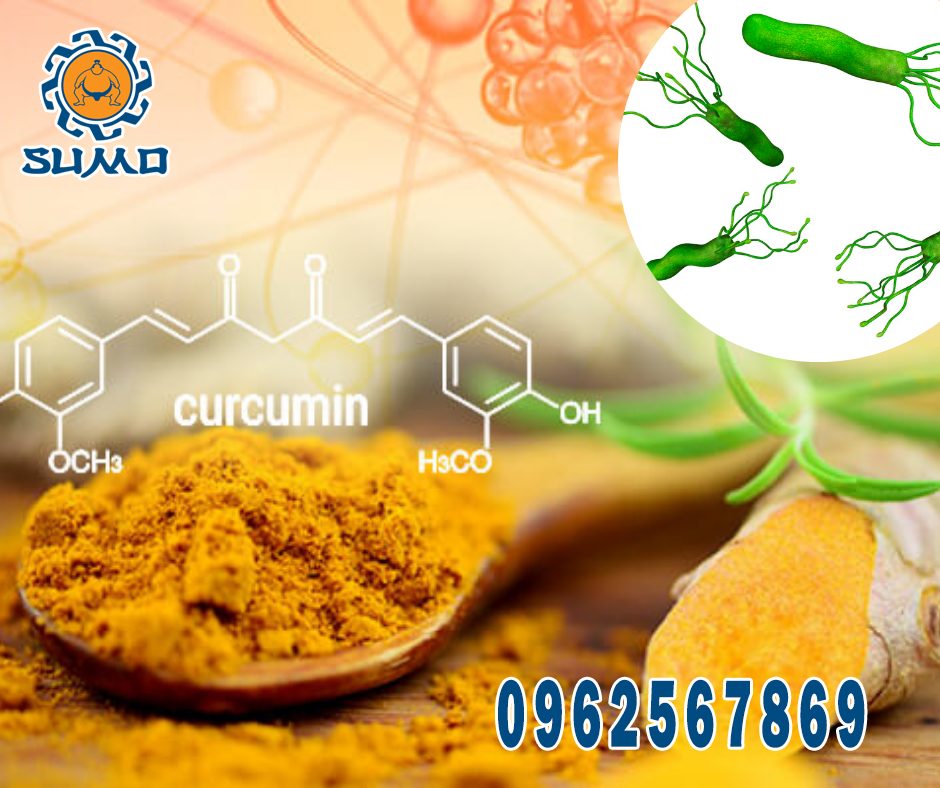 nano curcumin