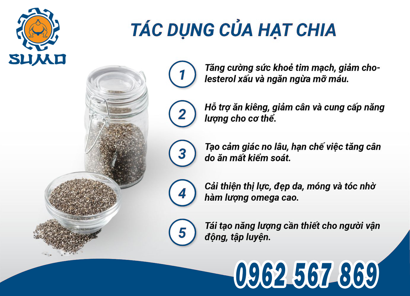 tác dụng của hạt chia